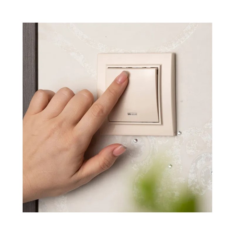 Выключатель с/у Минск ERV10-121-20, 1 клавиша, с/инд, бежевый