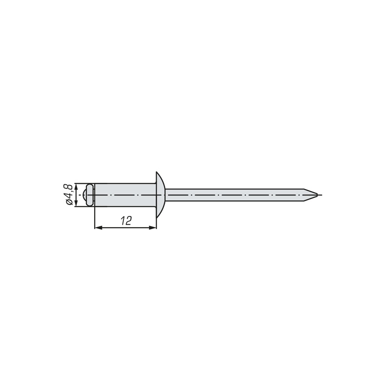 Заклепка вытяжная комбинированная SWFS 4,8х12 (1000 шт)