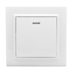 Выключатель с/у Минск ERV10-121-10, 1 клавиша, с/инд, белый